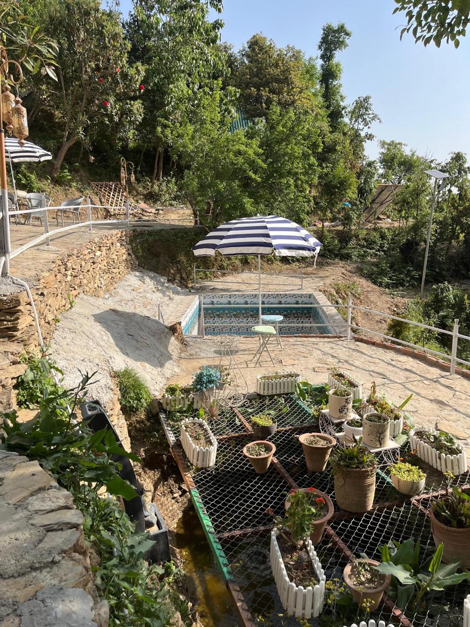 The Rare One'S Mukteshwar - Resort & Cafe Exterior foto